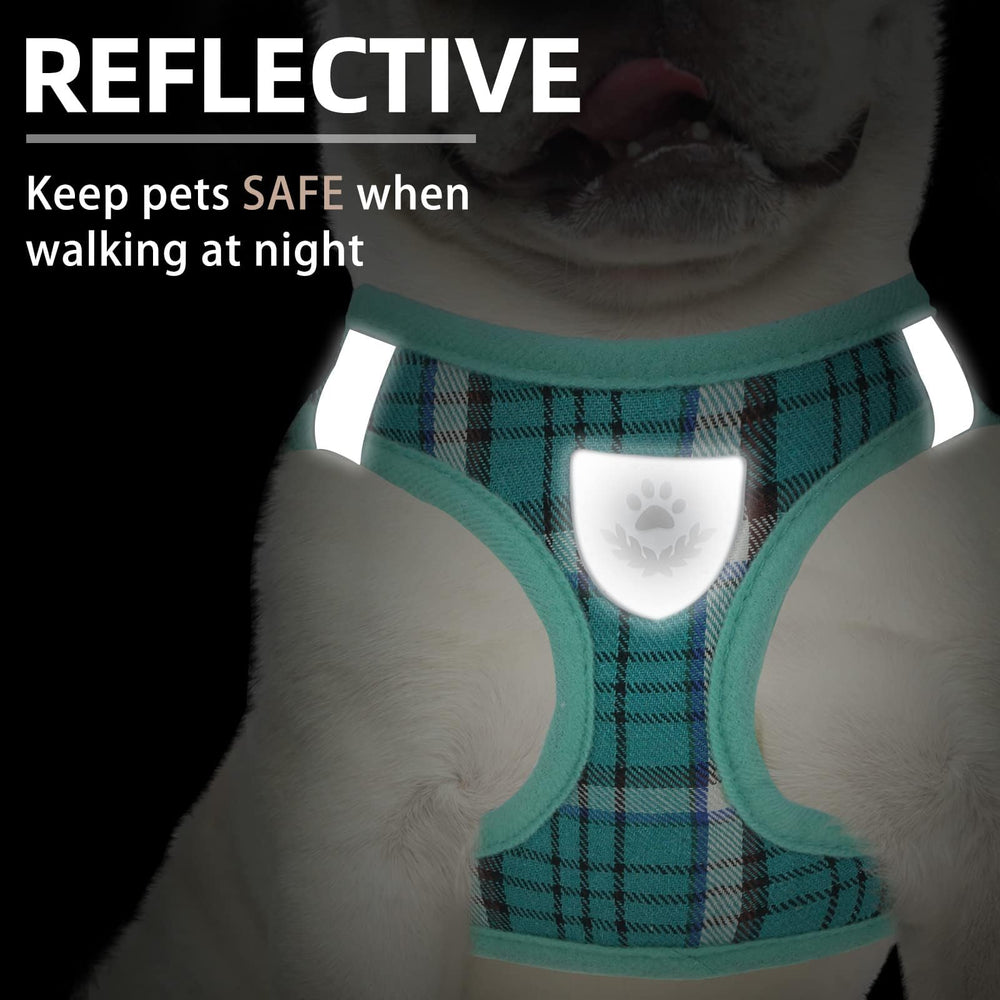 PUPTECK 4.9ft leash features a 360-degree rotation hook for flexible walking