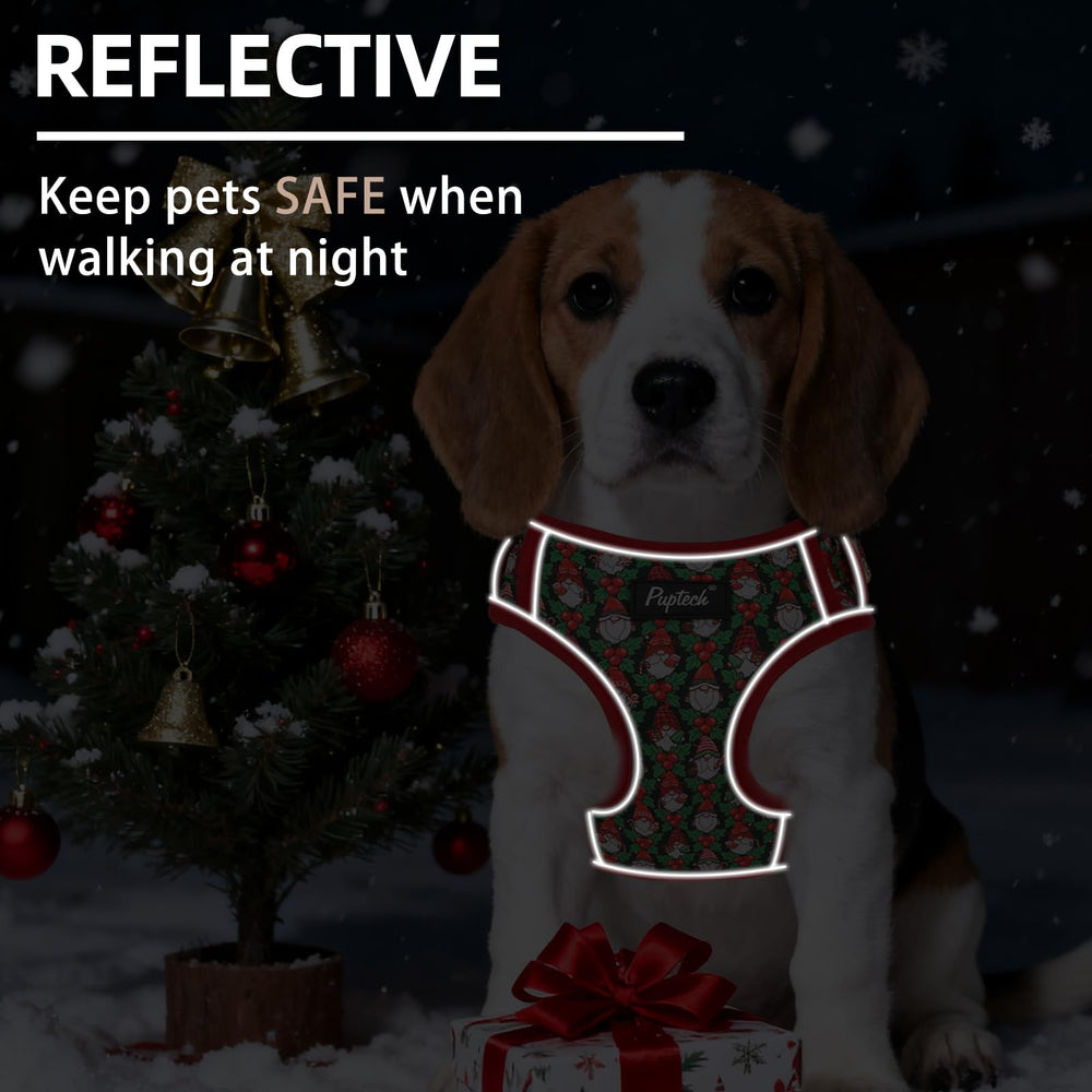 PUPTECK 5ft dog leash provides secure control on daily walks.