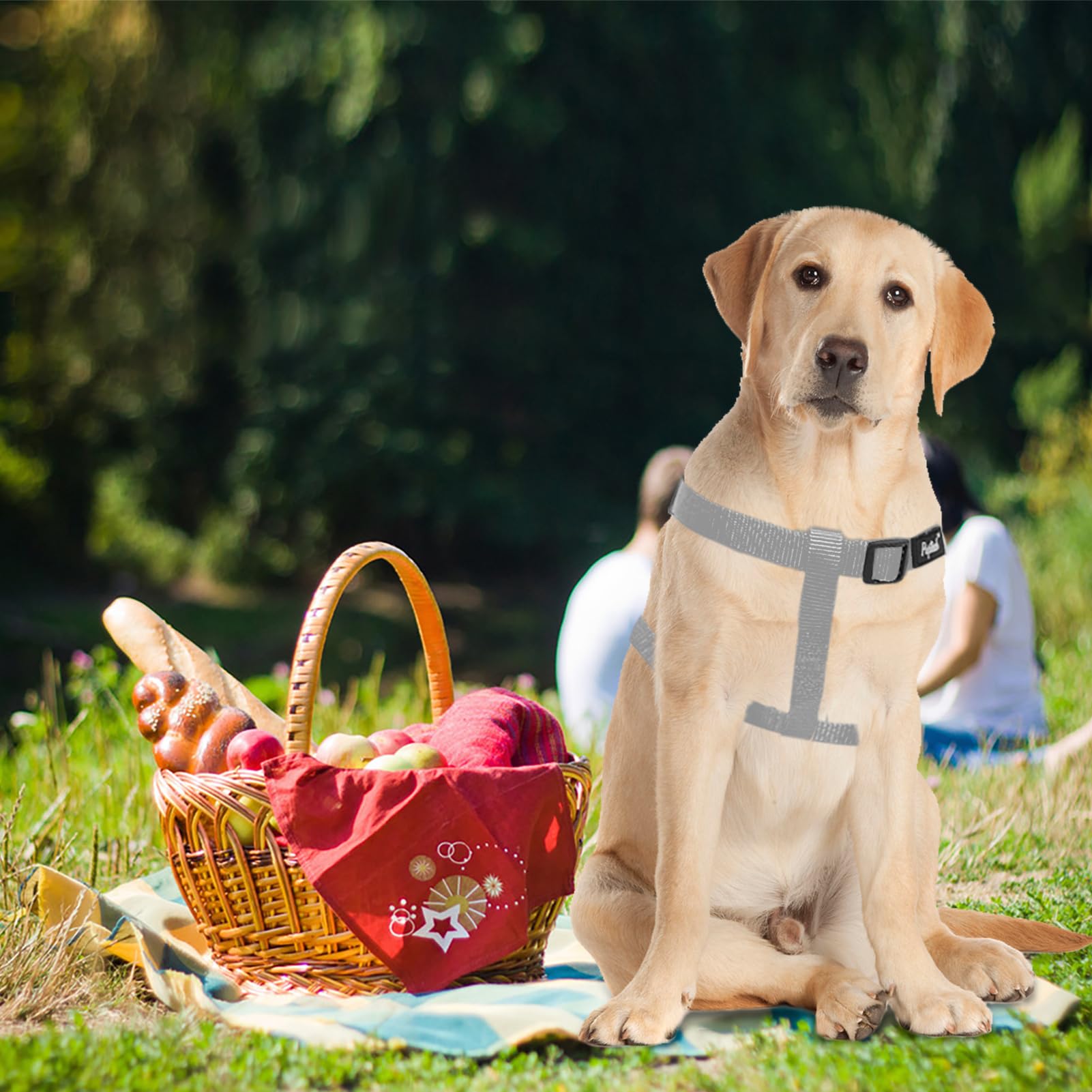 PUPTECK adjustable-chest-strap-fit ensures secure, comfortable walks.