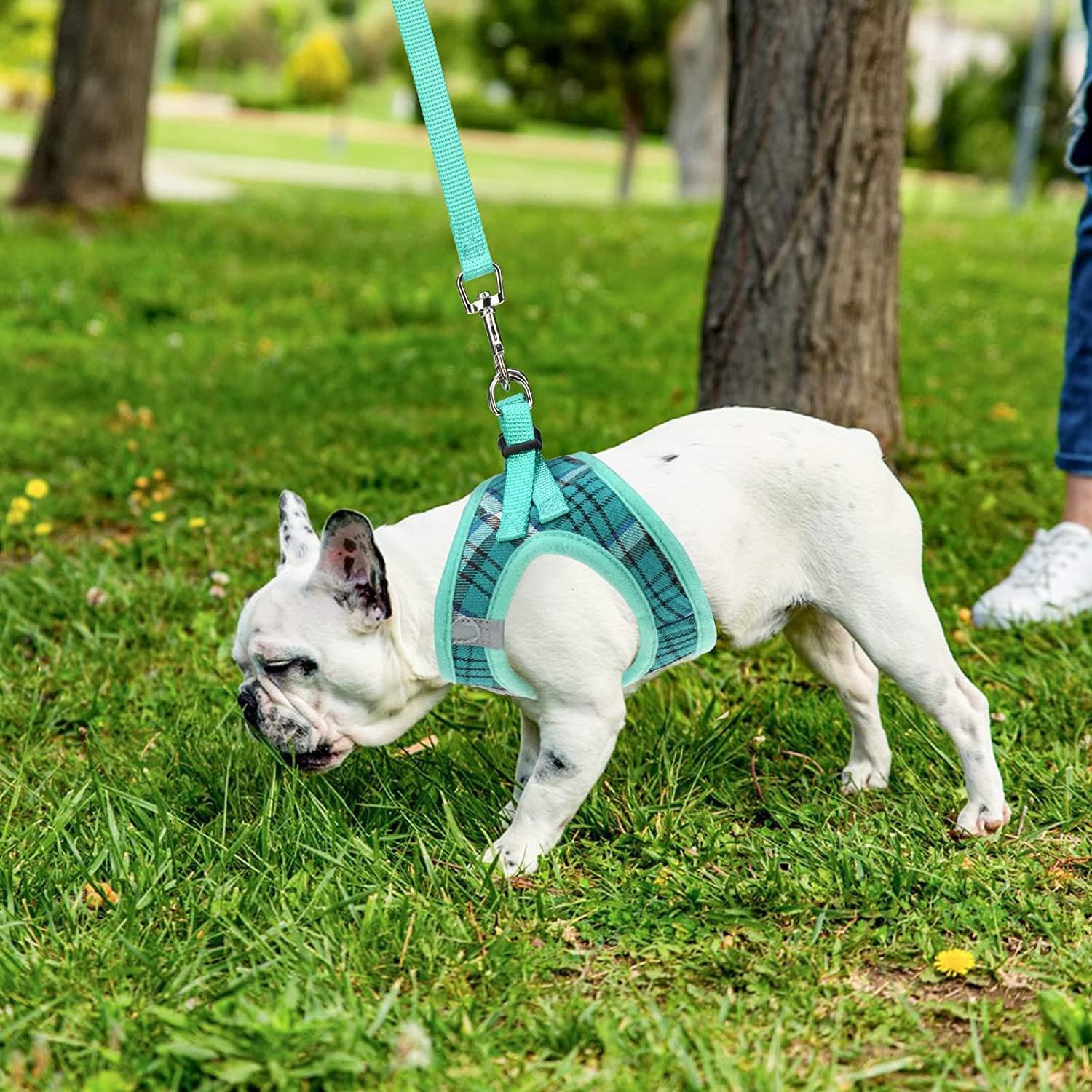 PUPTECK sizing guide image helps choose the right fit for small to medium pets
