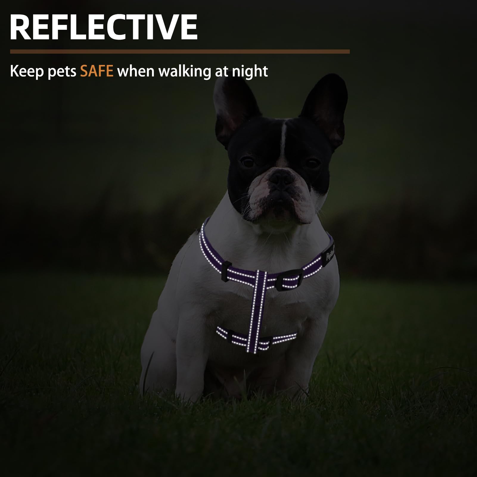 PUPTECK adjustable straps offer a secure, comfortable fit for many breeds.