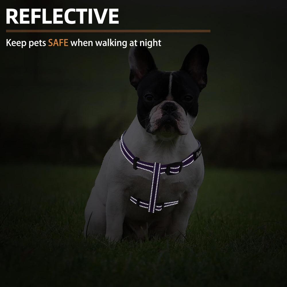 PUPTECK adjustable straps offer a secure, comfortable fit for many breeds.