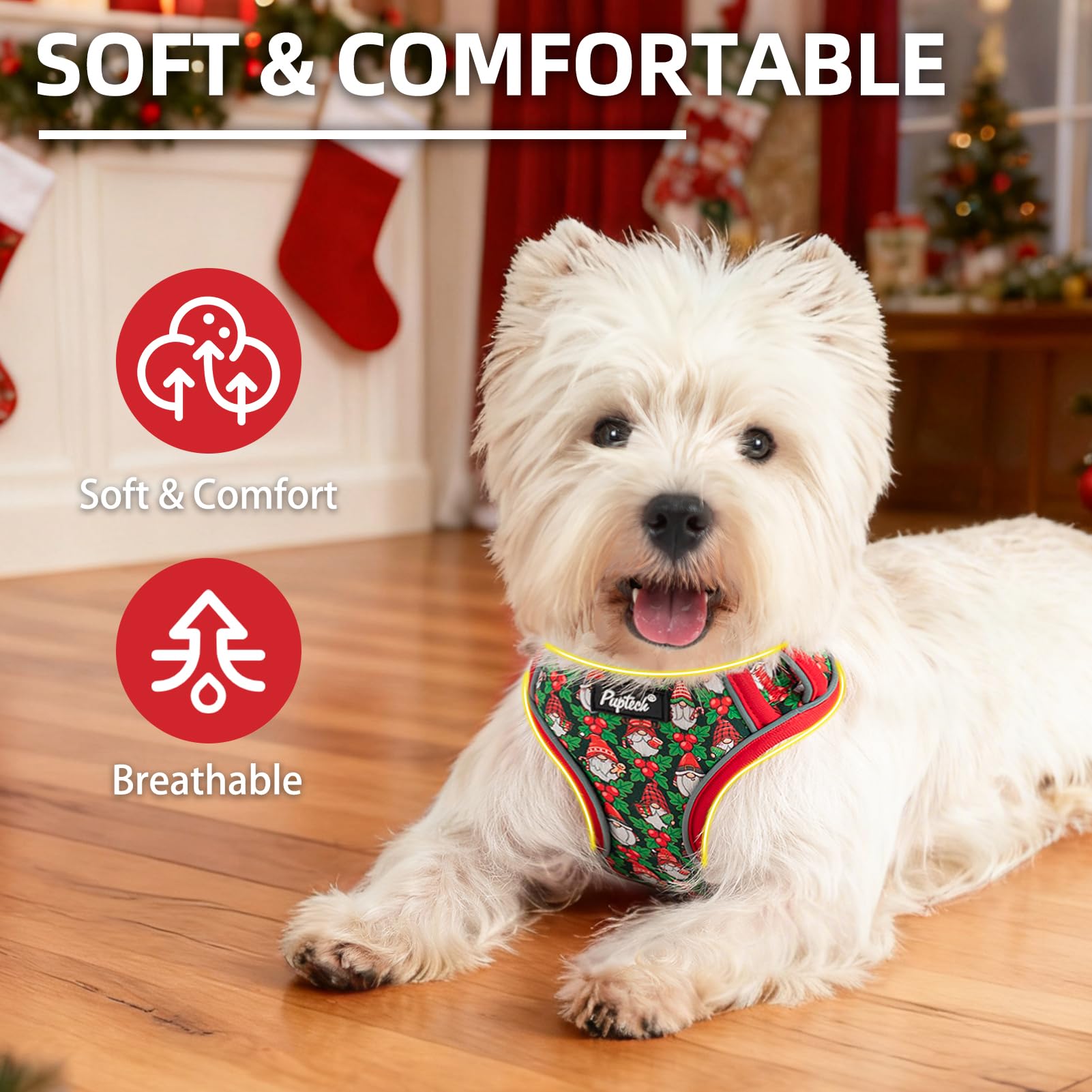 PUPTECK adjustable vest-style harness ensures a comfortable, secure fit for small pets.