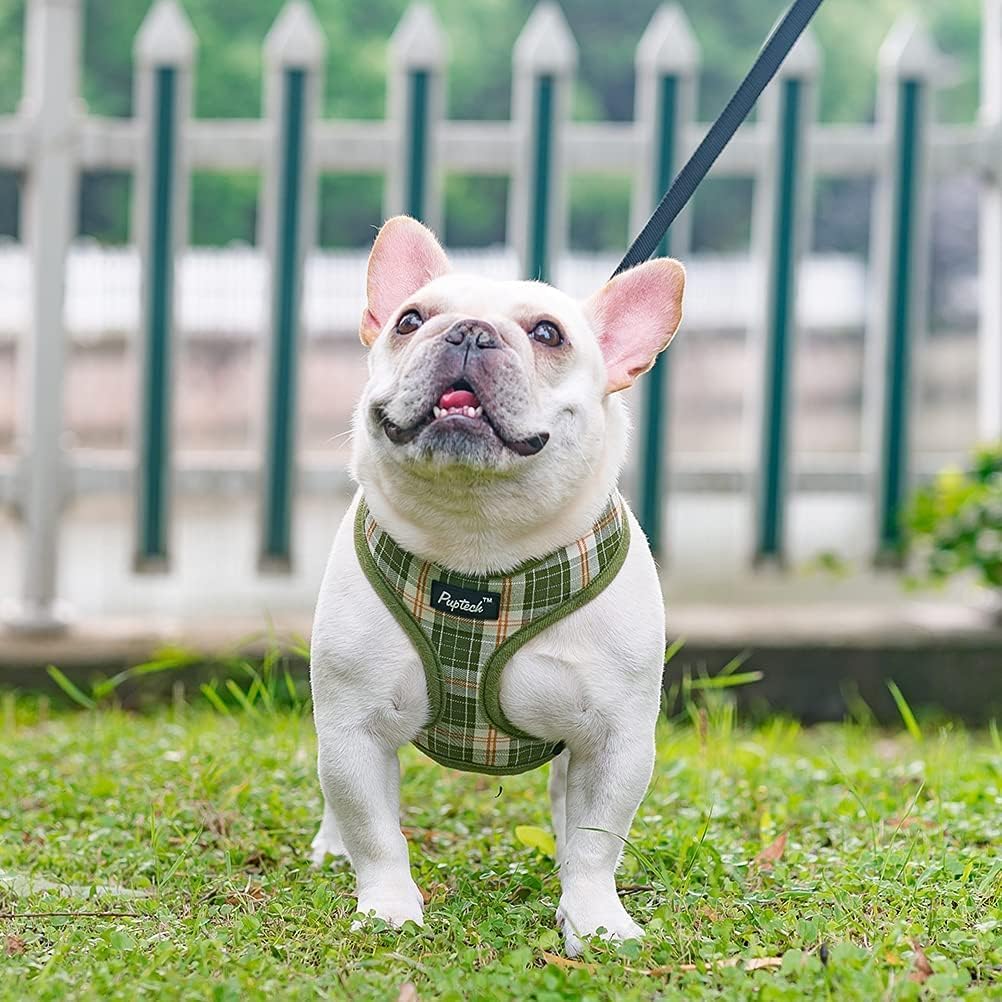 PUPTECK air-mesh breathable material keeps pets cool