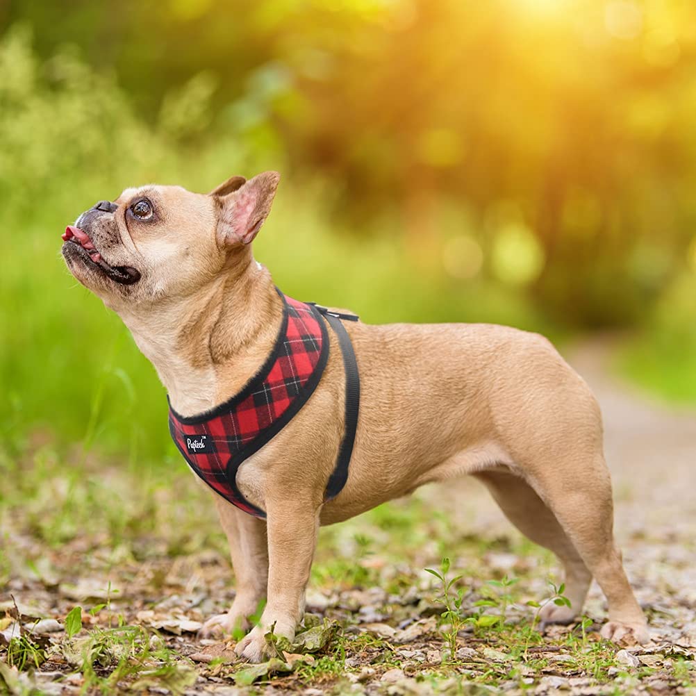 PUPTECK breathable air-mesh harness with soft edge for comfort