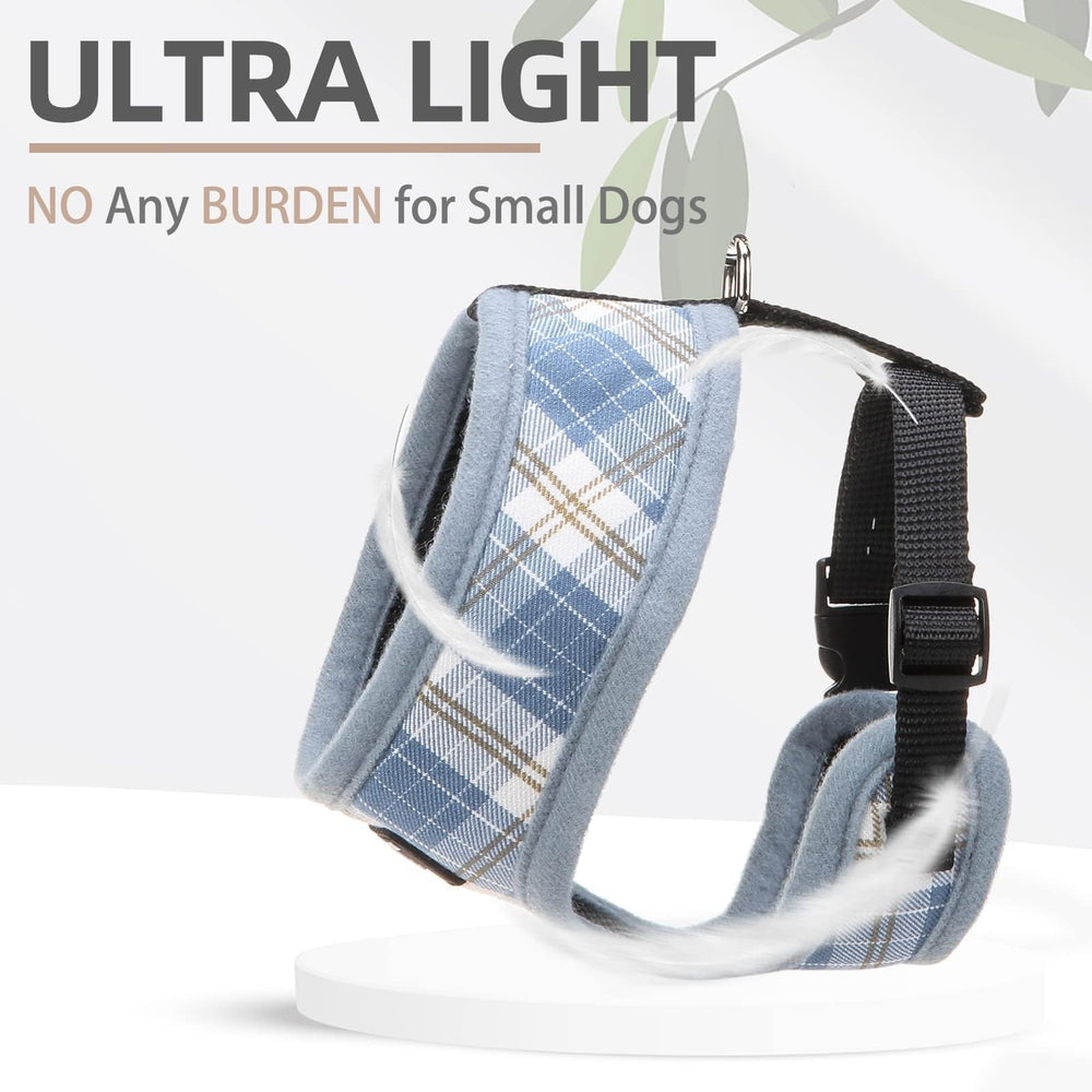 PUPTECK all-day comfort scene depicts breathable wear across seasons