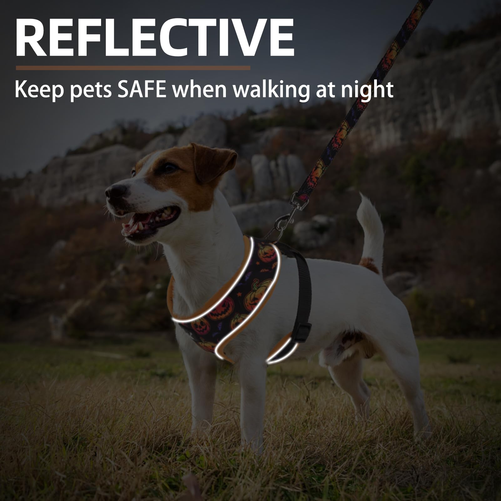 PUPTECK all-season wear harness outdoors demonstrates year-round versatility for pets.