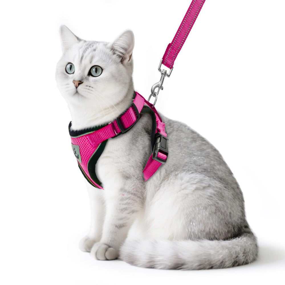 PUPTECK arnés para gato: malla suave y ajuste cómodo para paseos seguros.