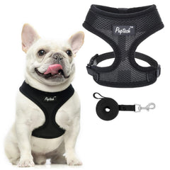 PUPTECK arnés malla suave para perros: cómodo, ligero y ideal para paseos diarios.