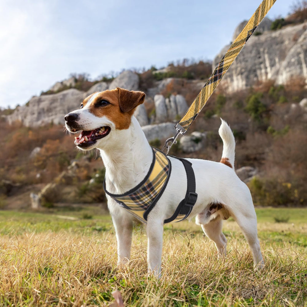 Arnés PUPTECK de malla suave para paseos diurnos y fiestas, cómodo y seguro.
