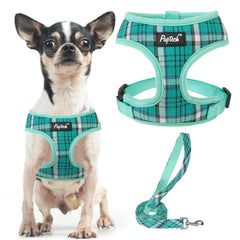 PUPTECK arnés de malla suave verde XS para paseos cómodos.