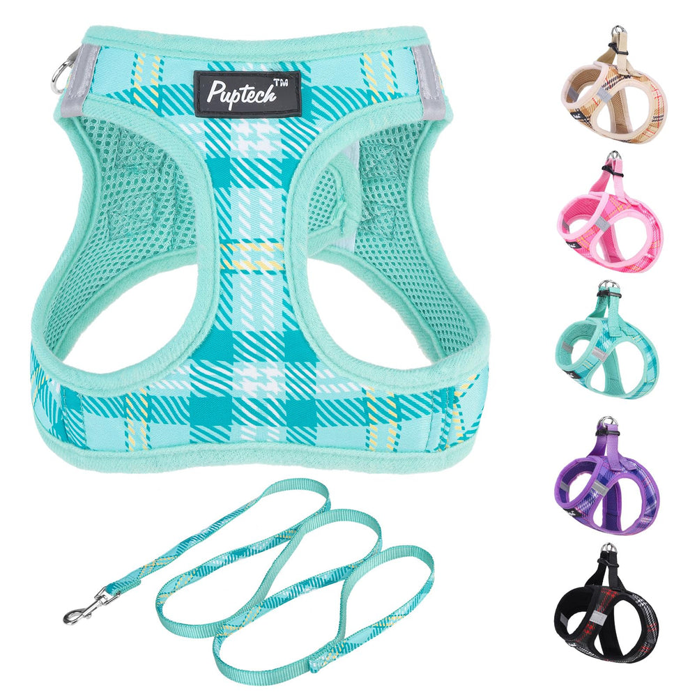 PUPTECK Arnés paso-entrada para perro, fácil de vestir y cómodo durante salidas.