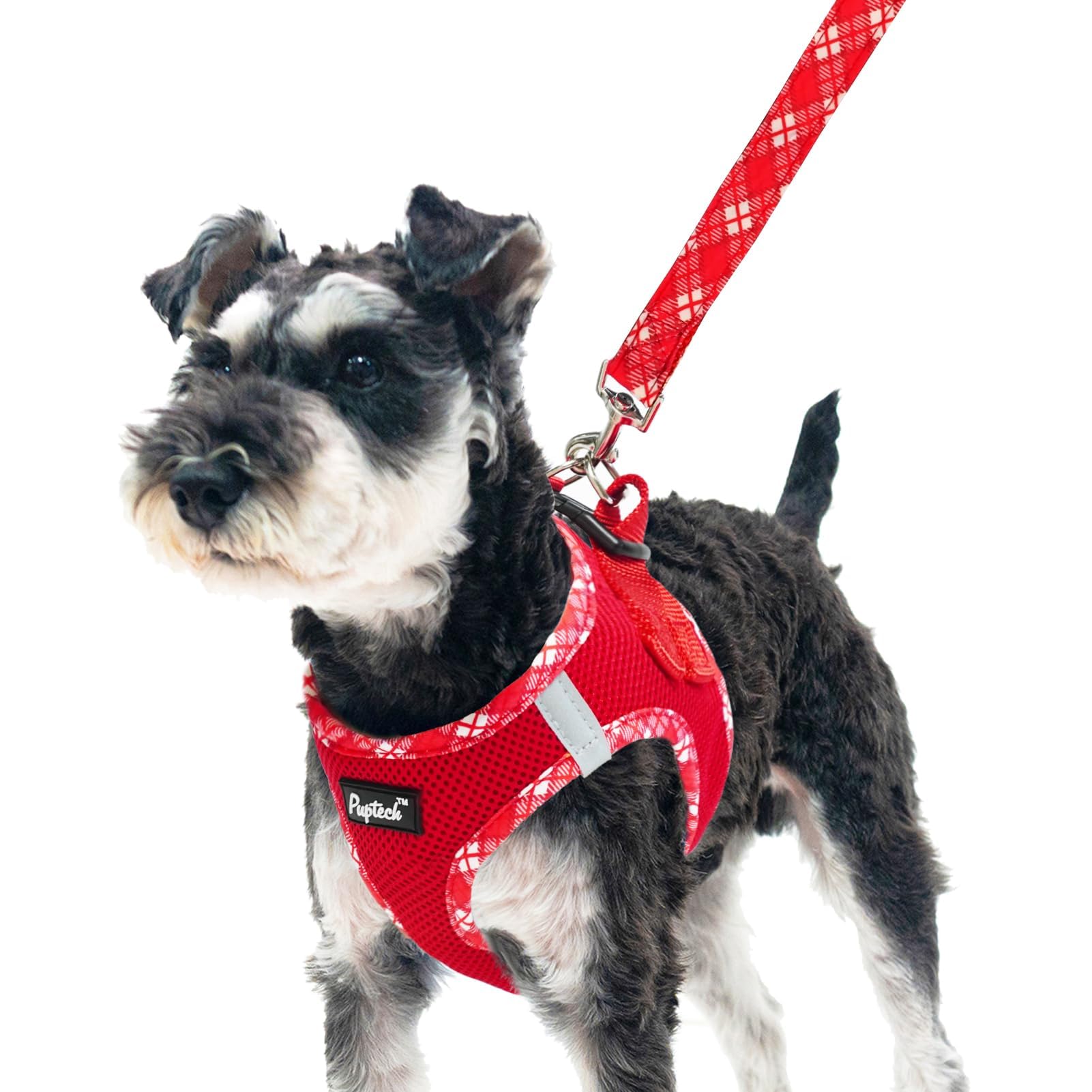 Arnés PUPTECK para perro XS, vista frontal, cómodo y ajustable para paseos diarios.