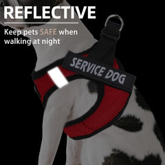 Arnés PUPTECK con tiras reflectivas para paseos nocturnos.