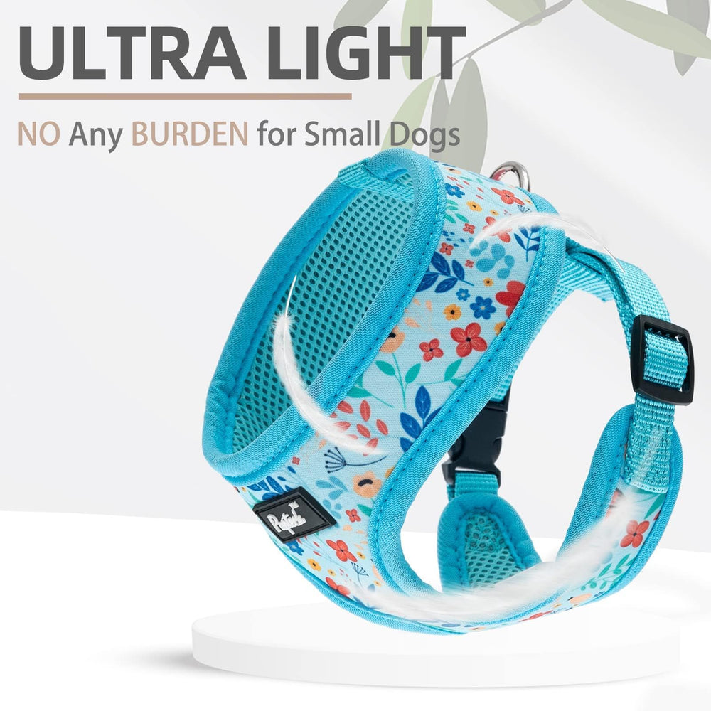 PUPTECK arnés sin tirones protege cuello, ideal para paseos tranquilos.