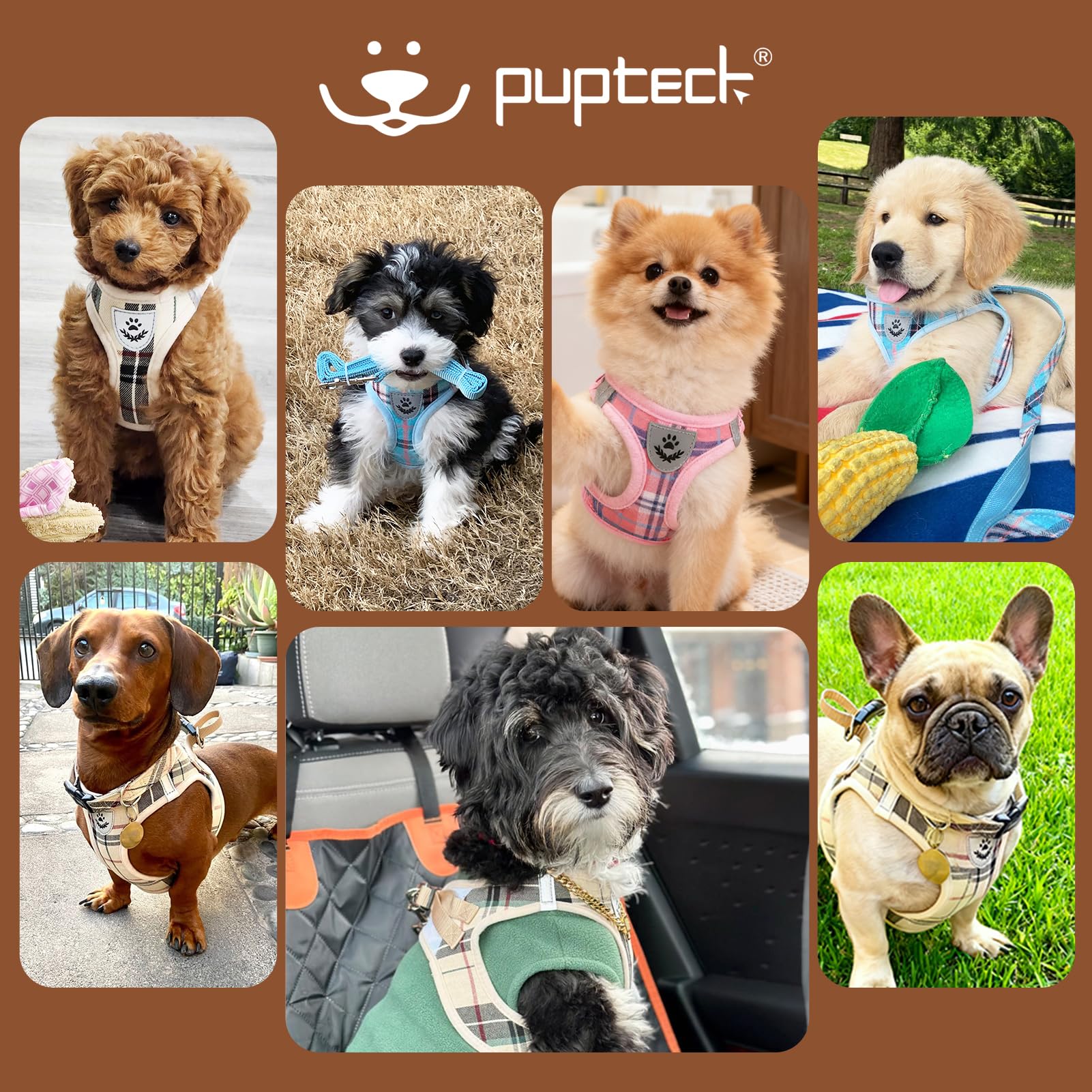 Pupteck arnés talla s, guía de ajuste para perros pequeños.