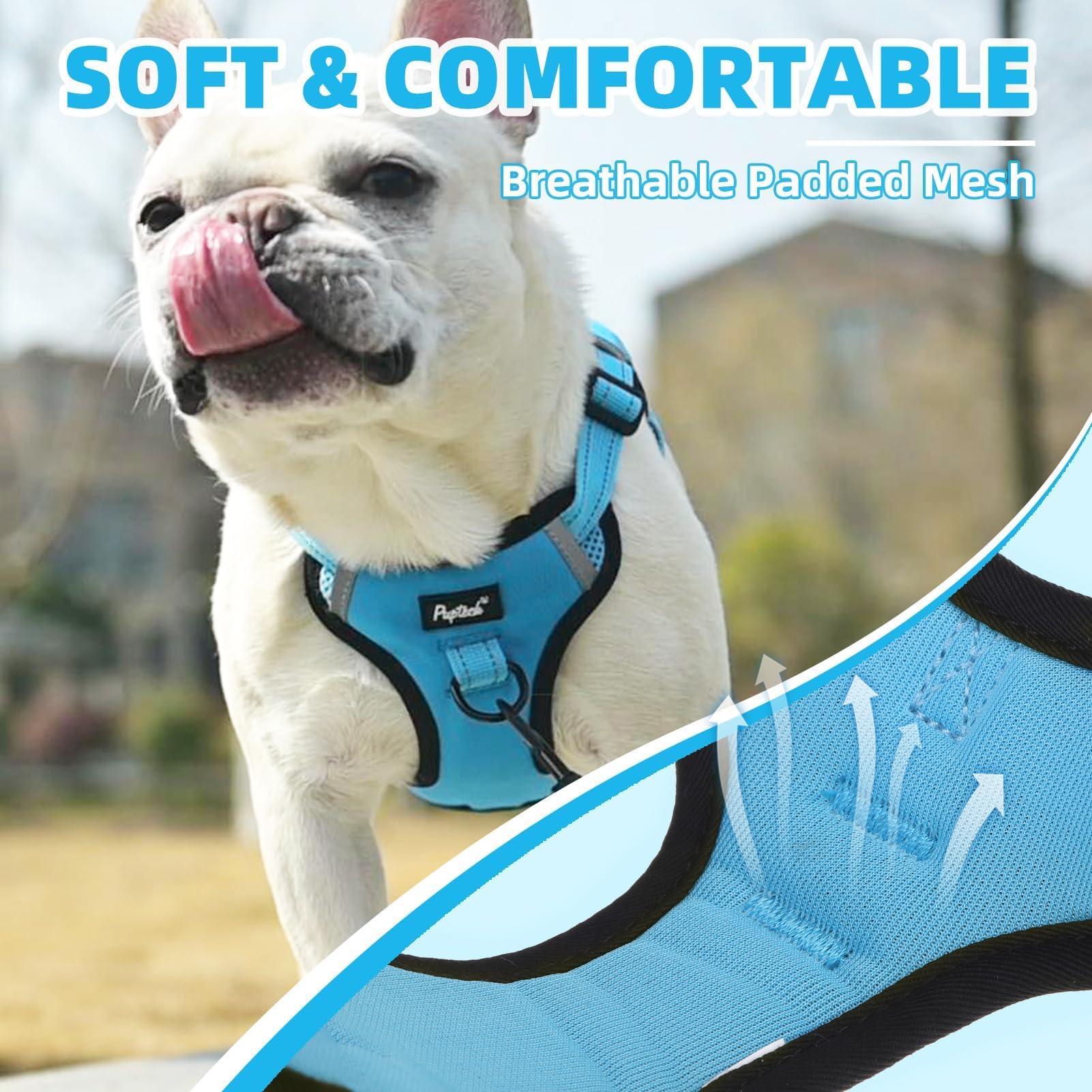 PUPTECK back-clip small dog harness for casual walks and jogging safety.
