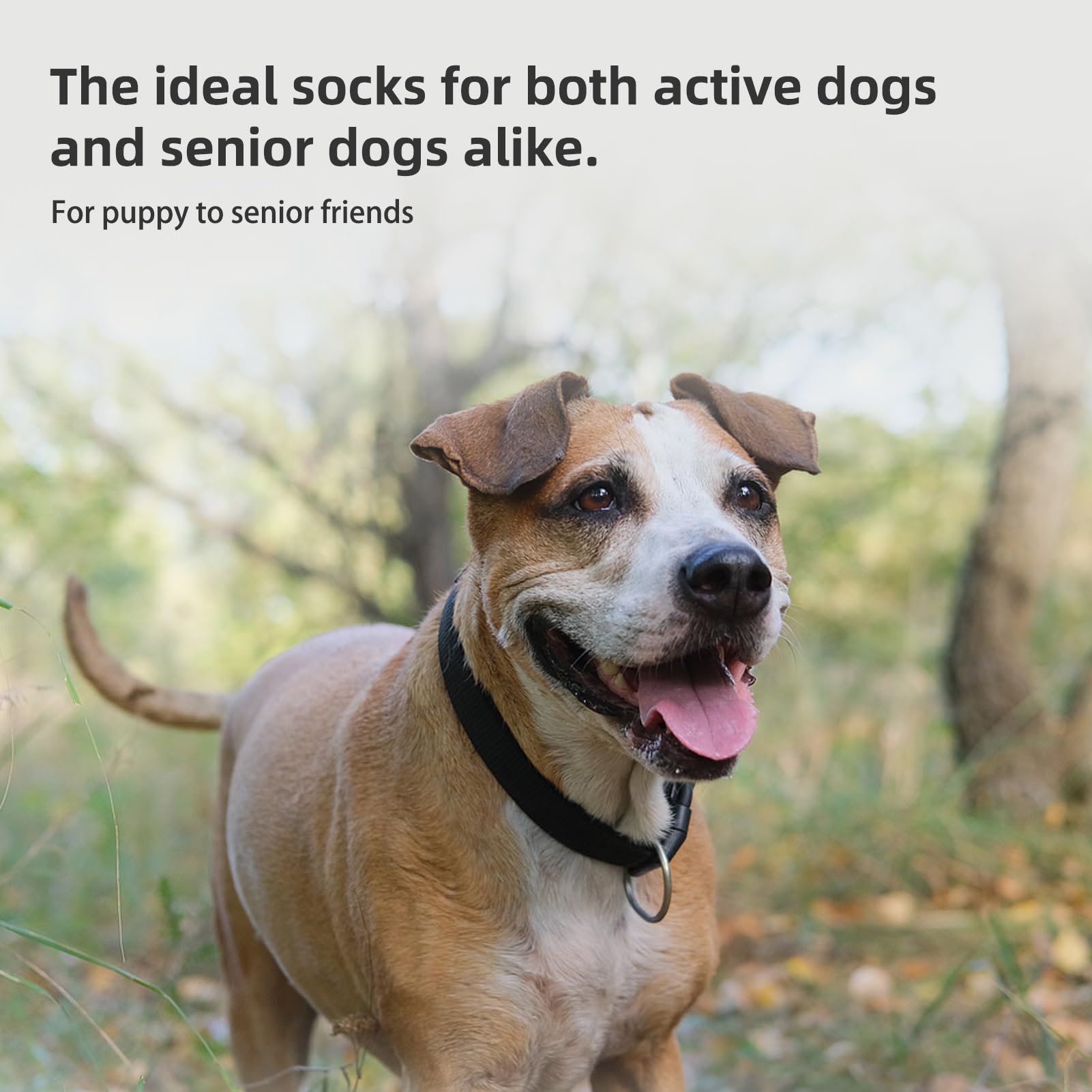 PUPTECK calcetines, protección de patas frente a calor y frío en pavimentos.