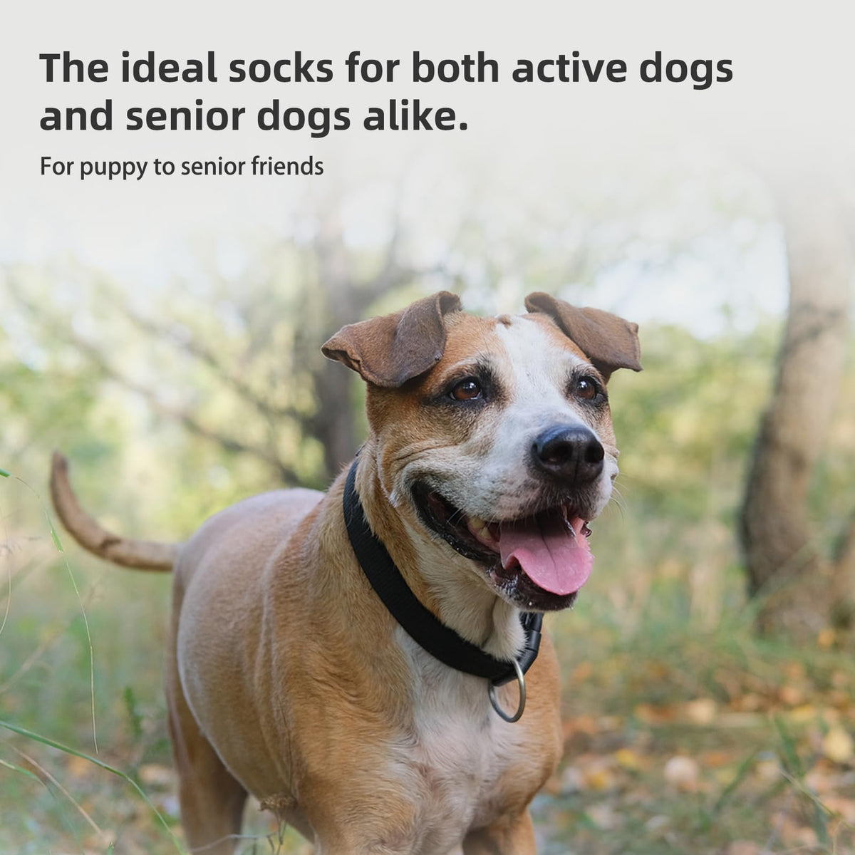 Calcetines PUPTECK transpirables ideales para verano