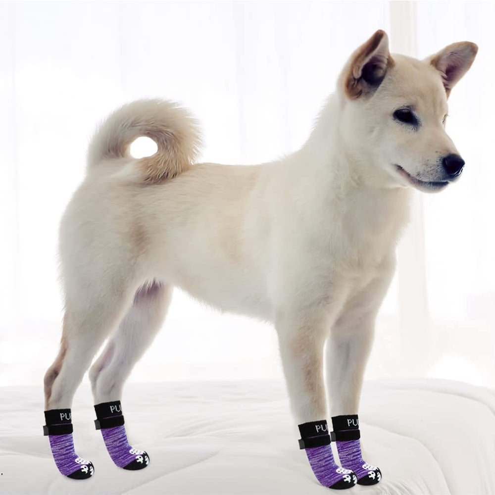 Uso recomendado para perros mayores con movilidad con calcetines PUPTECK