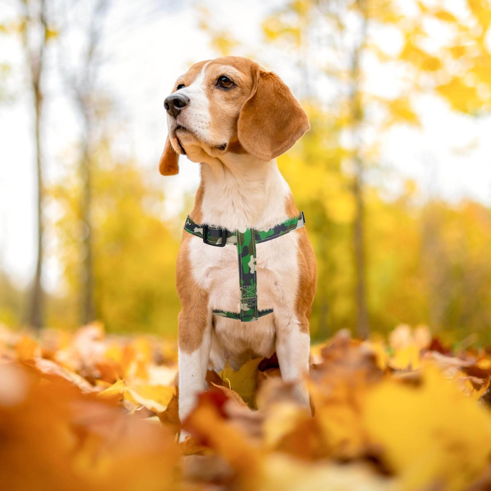 PUPTECK camouflage design suits outdoor activities and style