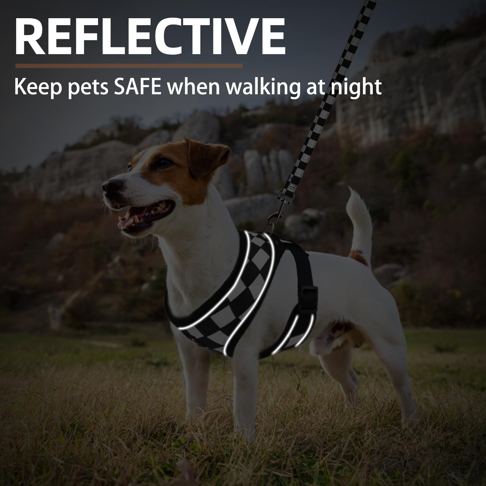 PUPTECK checkered-pattern harness showcases stylish everyday wear.