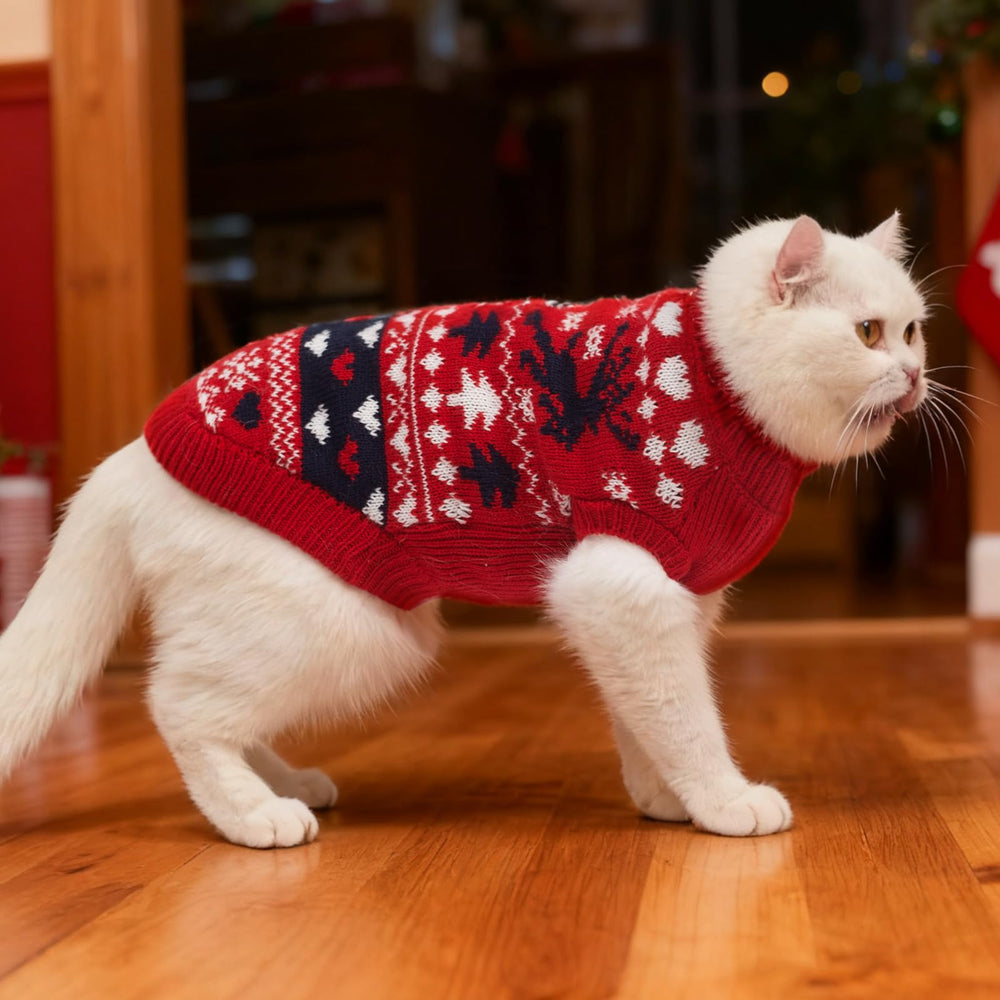 Pupteck Christmas Cat Sweater model wear during cozy indoor moments