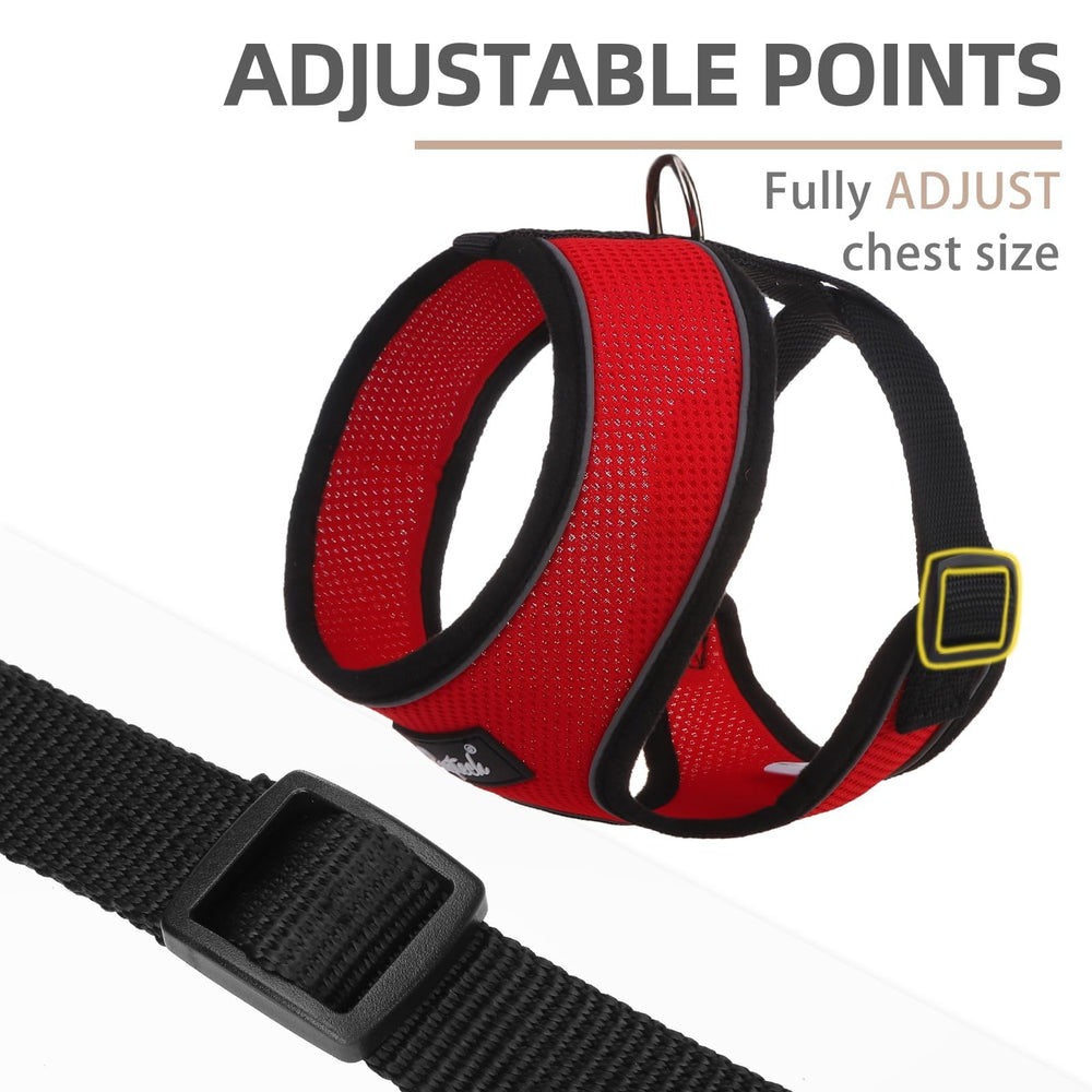 Cierre rápido del conjunto PUPTECK, fácil de colocar y quitar.