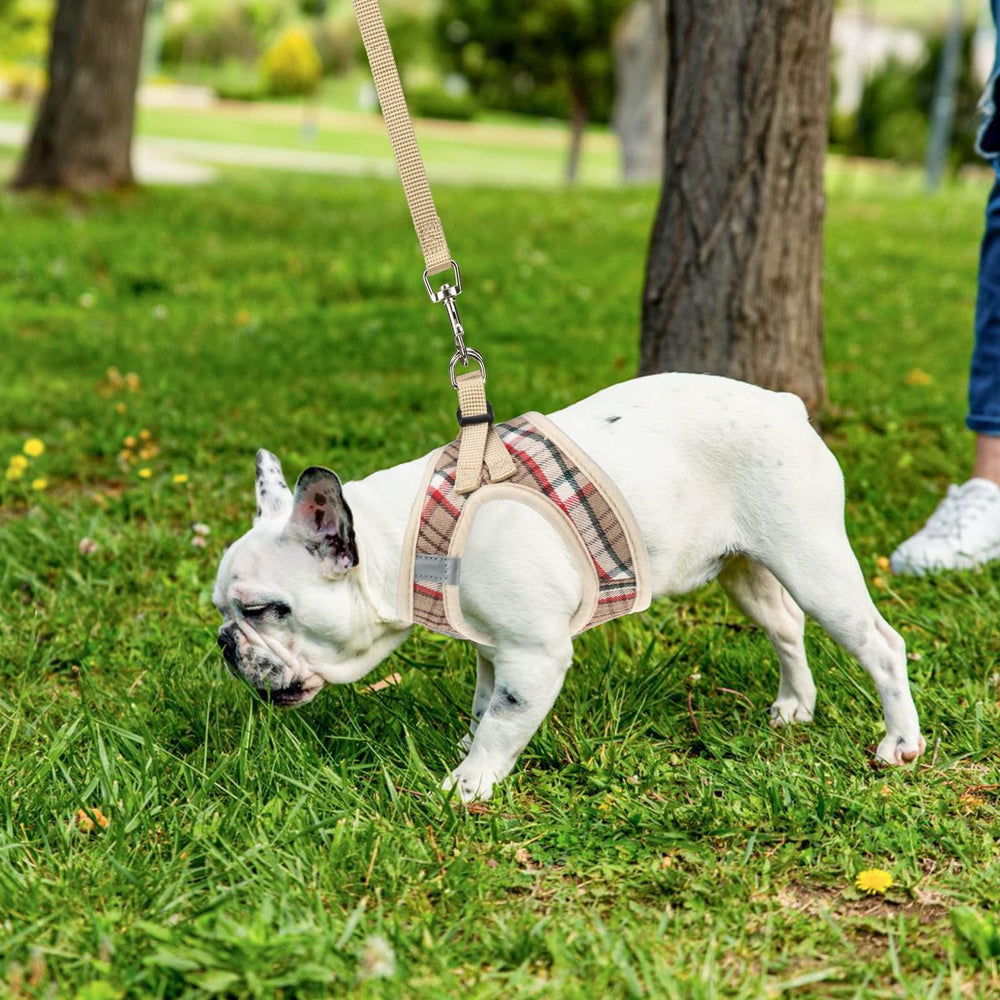 PUPTECK collar with bell detail enhances pet identification.