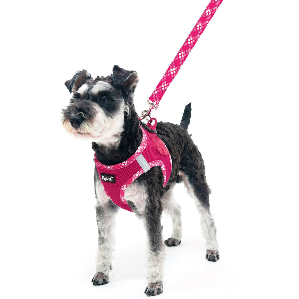PUPTECK correa fucsia perfecta para paseos diarios.