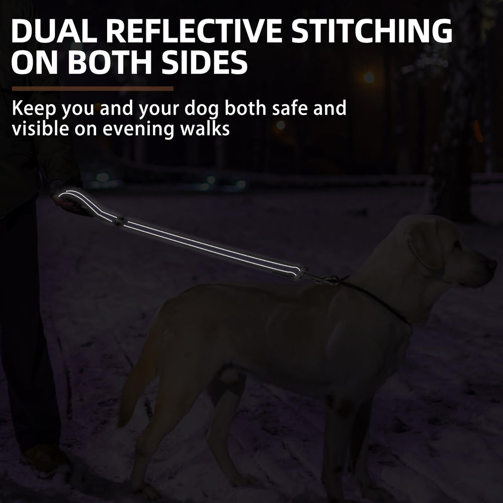 PUPTECK leash in crowded settings demonstrating crowd-control utility.