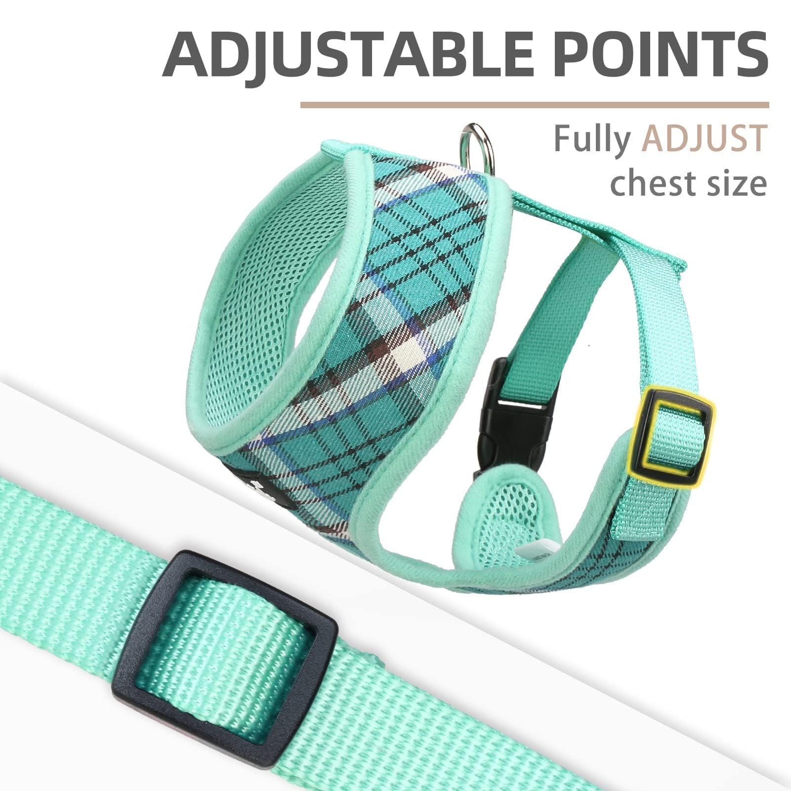 PUPTECK harness D-ring provides secure leash connection for safer walks