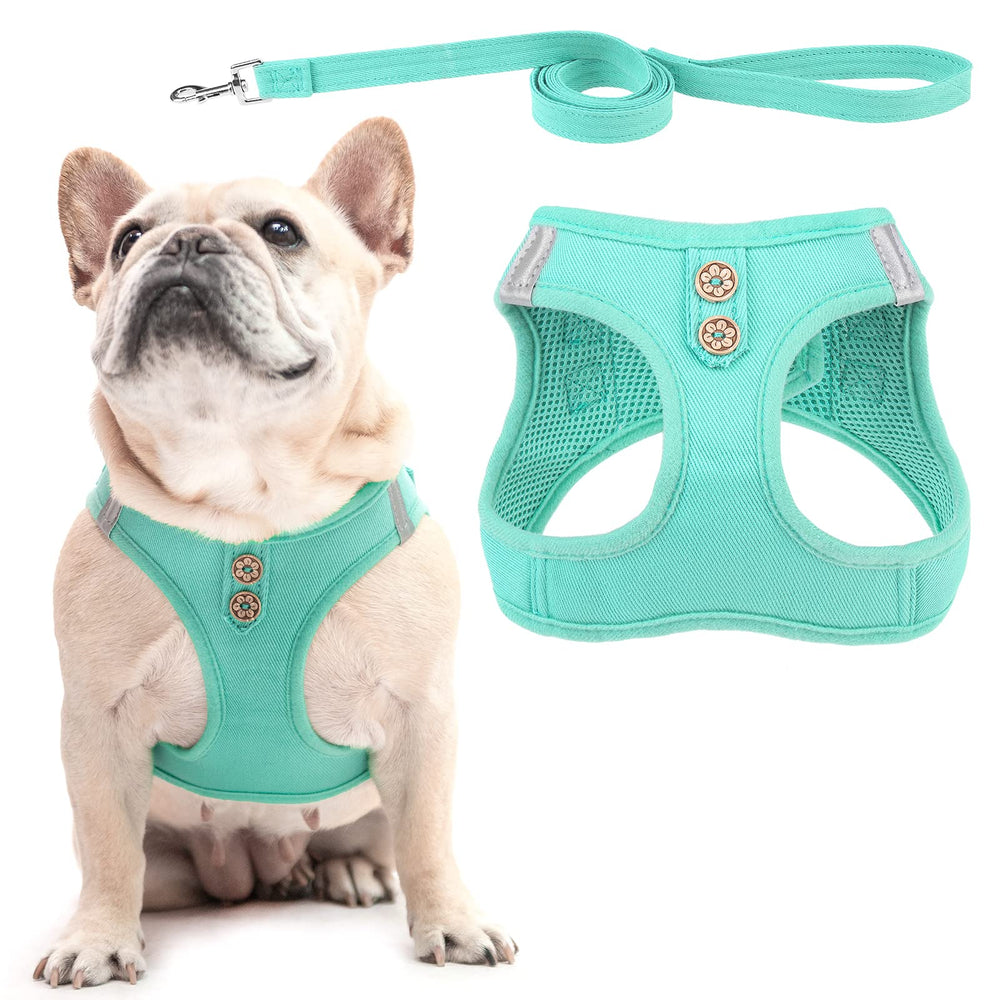 PUPTECK denim-green harness front view enhances comfort and control for small dogs.