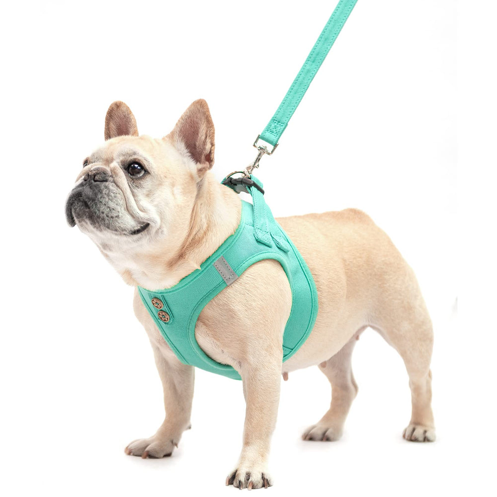 PUPTECK denim-green harness with leash attachment supports safe daily walks.