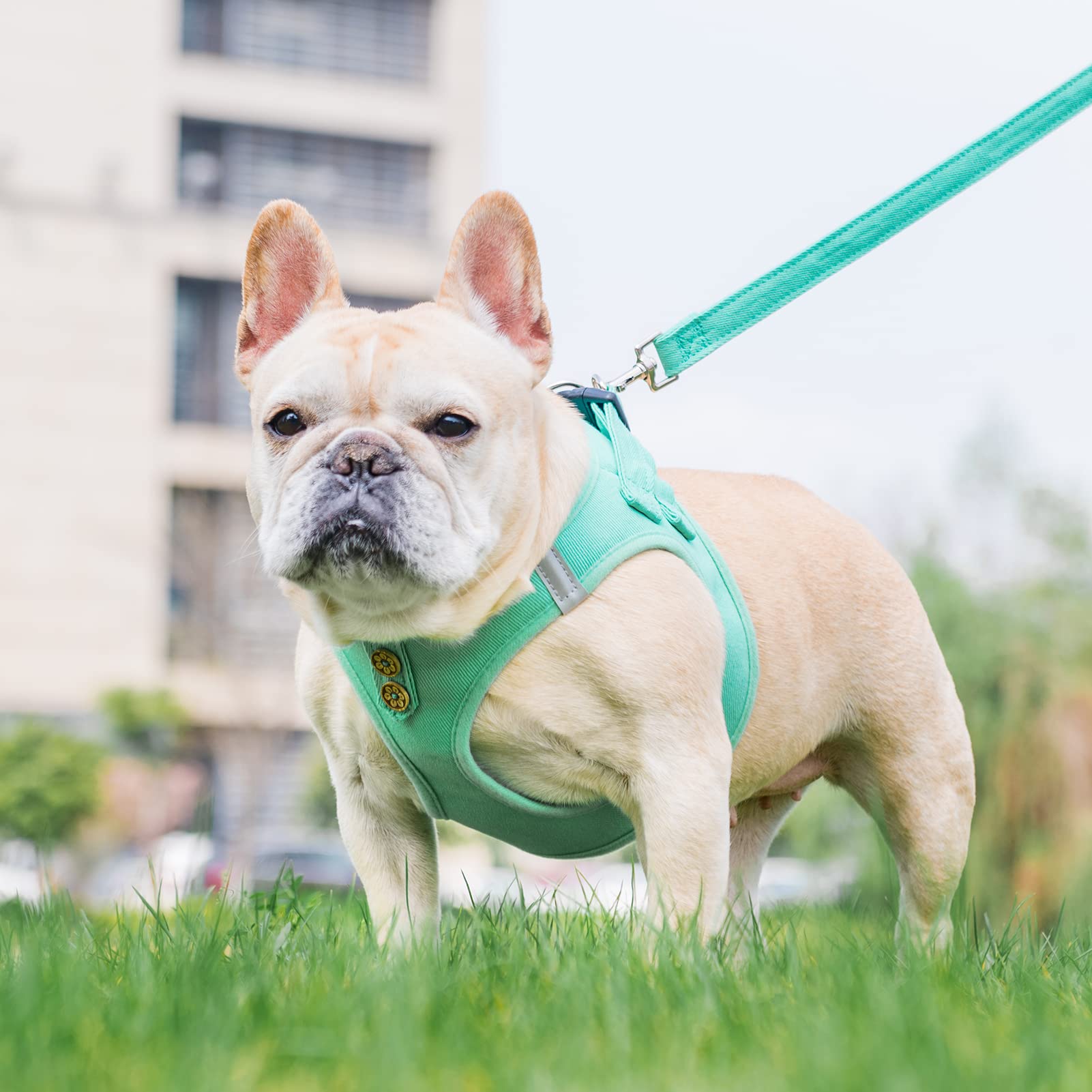 PUPTECK denim-green harness side view showing breathable mesh