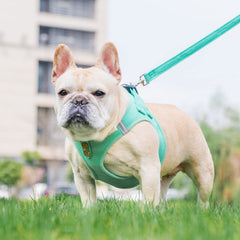 PUPTECK denim-green harness side view shows breathable mesh for dry fur.