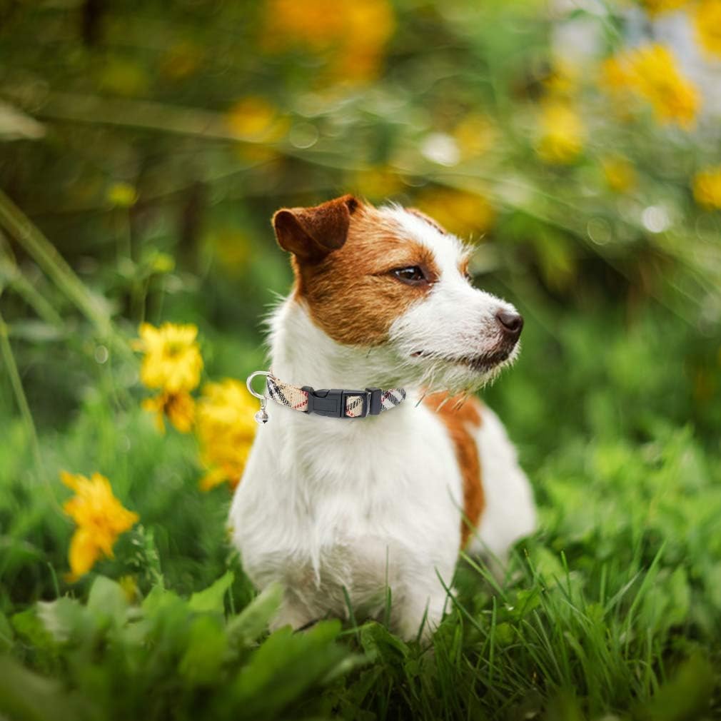 Pupteck diseño a cuadros clásico para paseos con estilo.