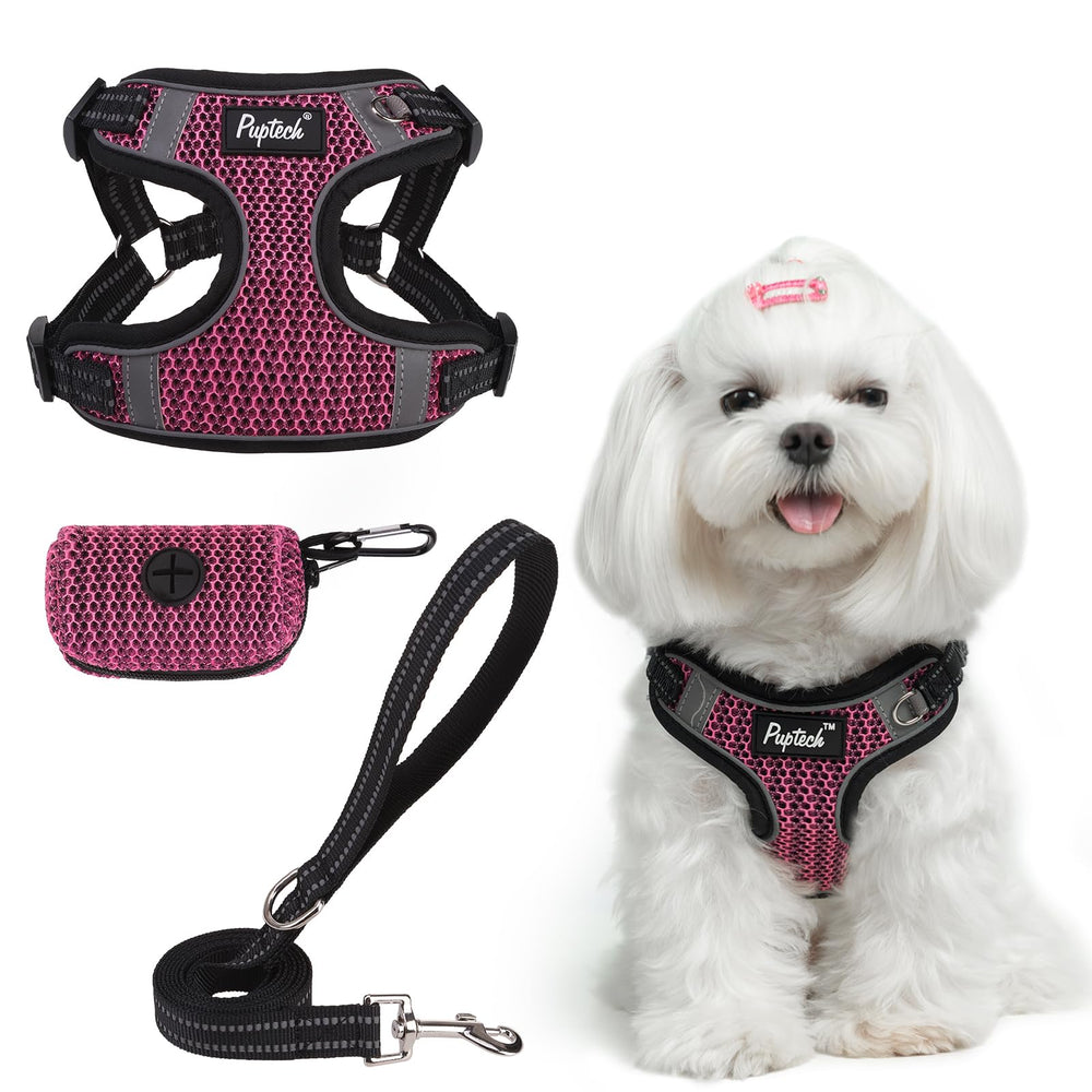 PUPTECK dog harness front view, small size, comfortable fit for daily walks.