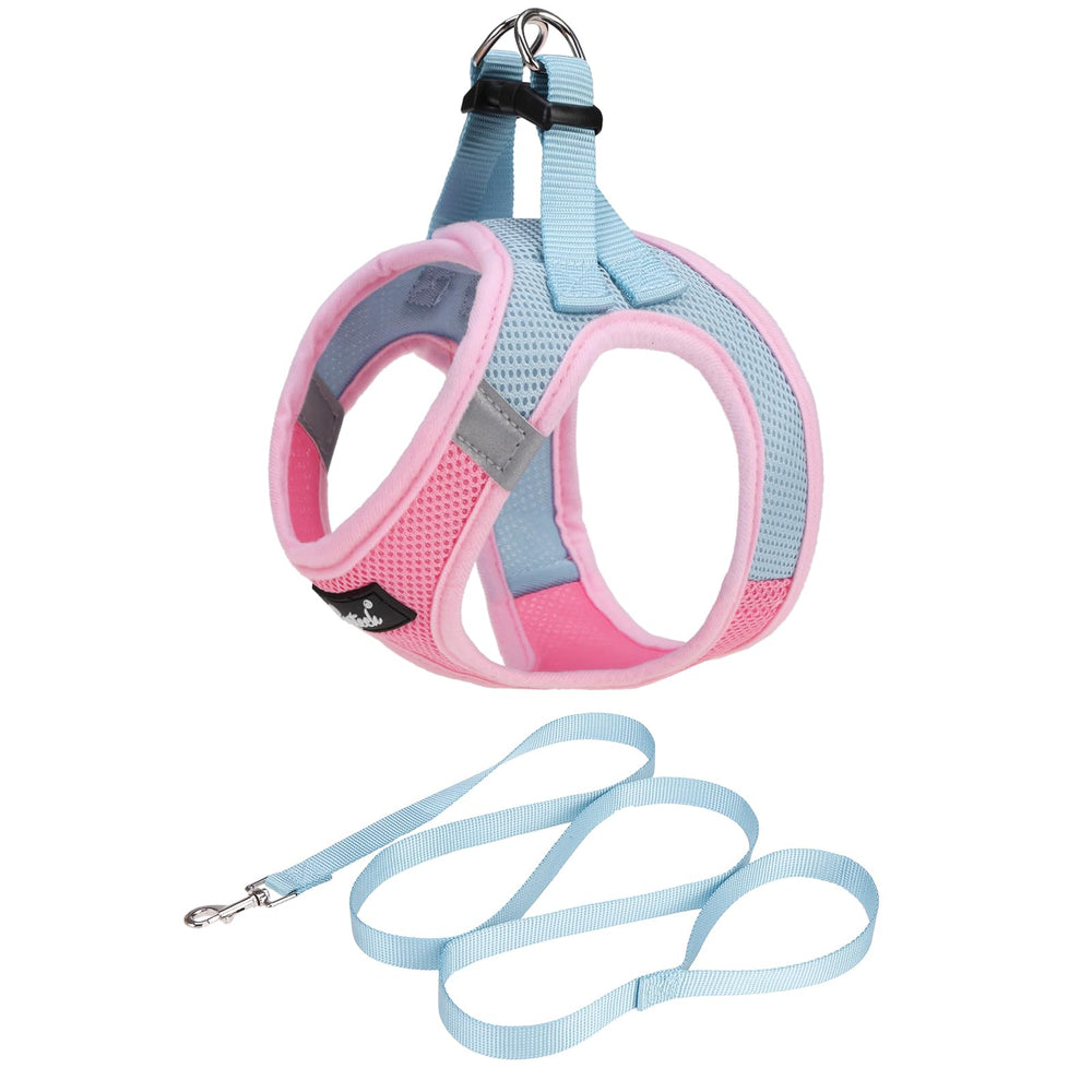 PUPTECK dog harness with soft mesh comfort for all-day wear