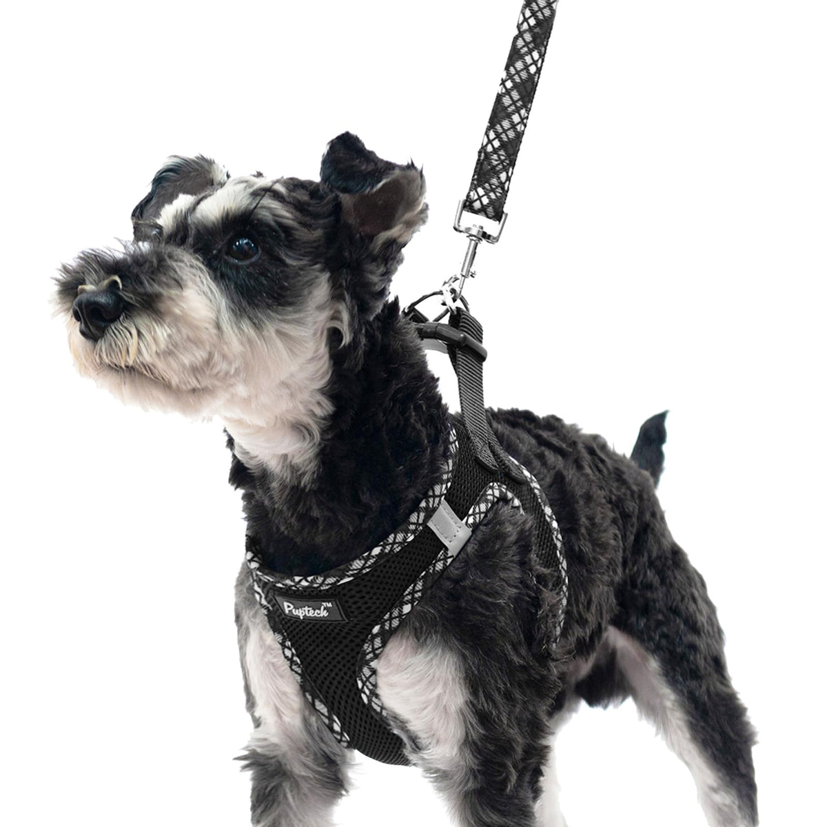 PUPTECK dog harness step-in design with soft mesh for comfortable daily wear.