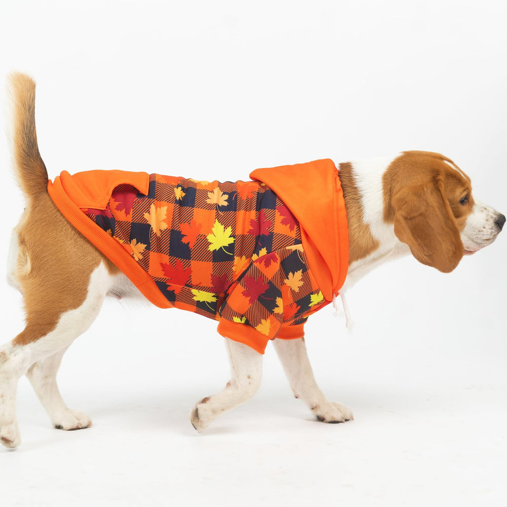 Leash hole stays accessible when wearing collars or harnesses.