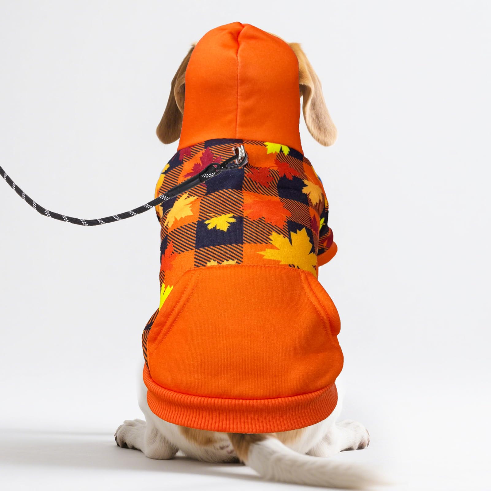 Opened belly design makes potty breaks easier on walks.