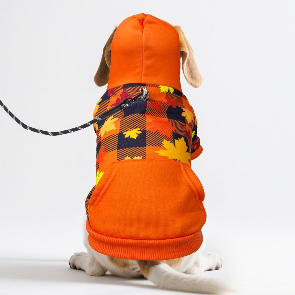 Opened belly design makes potty breaks easier on walks.