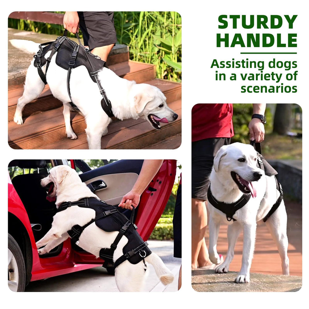 PUPTECK dog lift harness handle-strap use facilitates quick lifting and transfer.