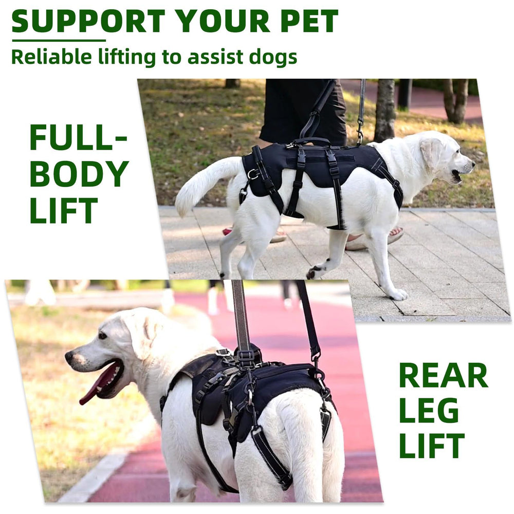 PUPTECK dog lift harness side profile shows adjustable chest and belly fit.