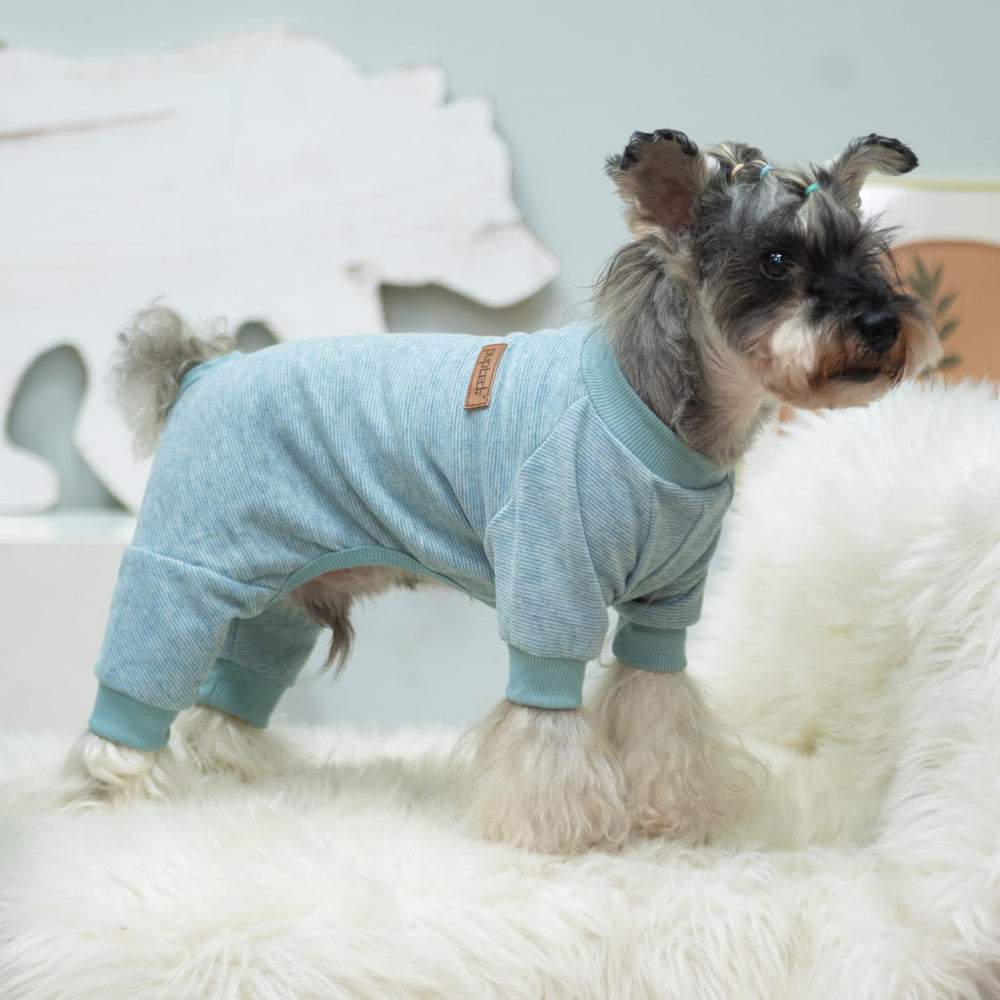 PUPTECK dog pajamas come in colors for style and photo moments.