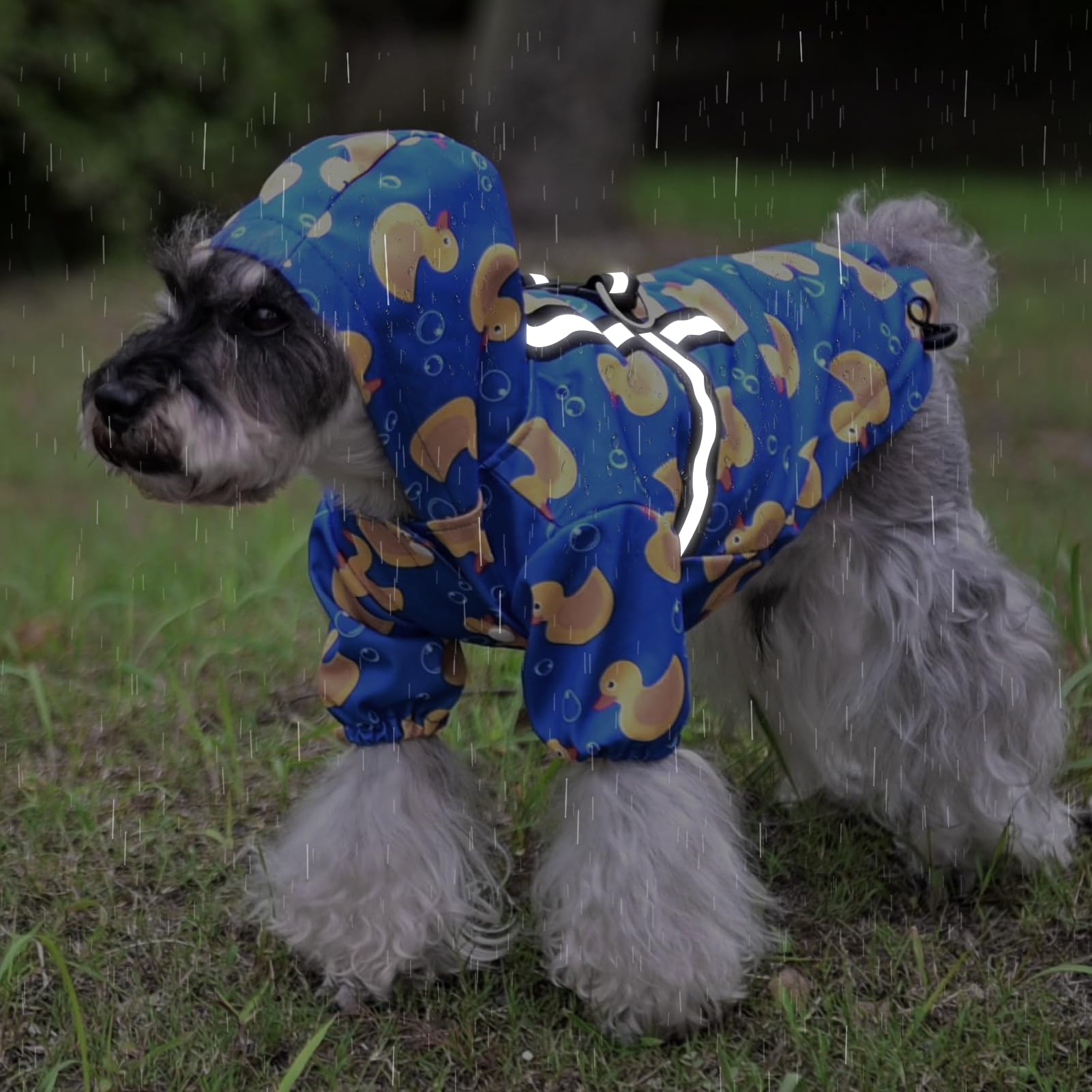 PUPTECK breathable fabric keeps dogs comfortable on walks.