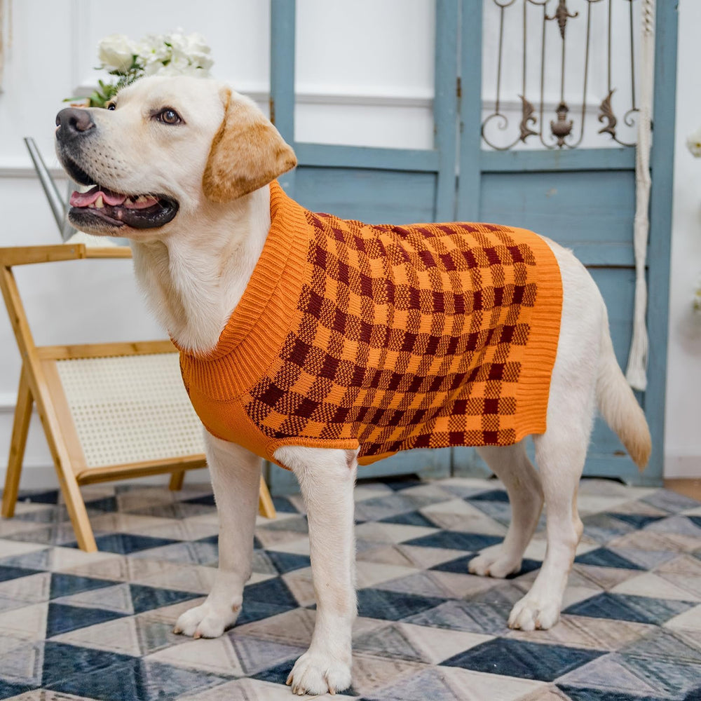 PUPTECK belly-cut hem allows comfortable pee breaks without soiling