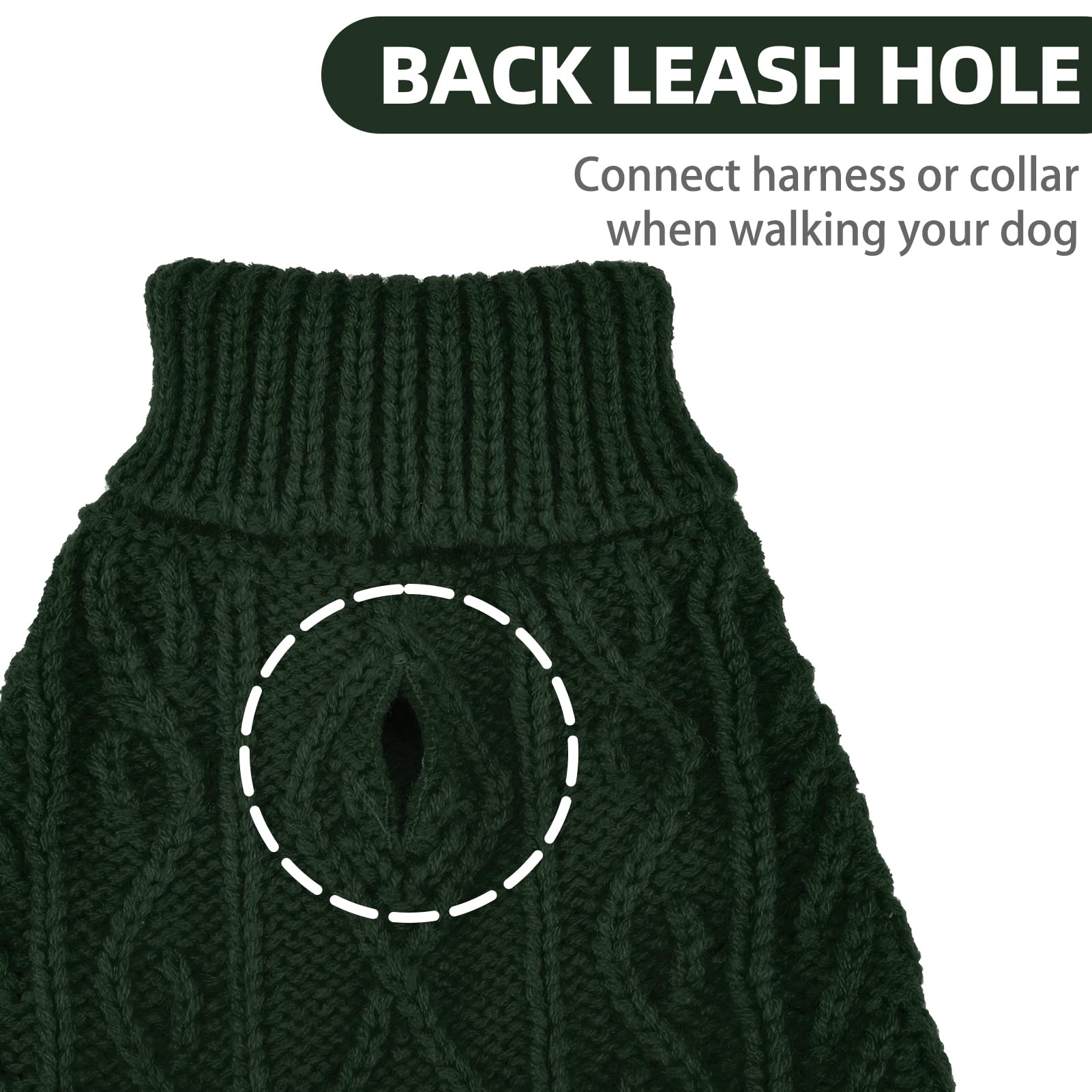 PUPTECK high belly hem adds coverage for quick potty breaks