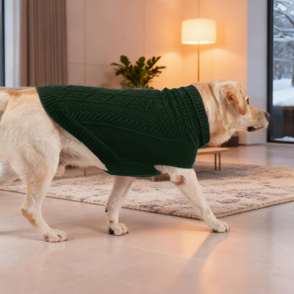 PUPTECK leash-hole feature enables easy walking while wearing the sweater